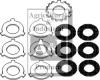 Master Clutch Plate Pack